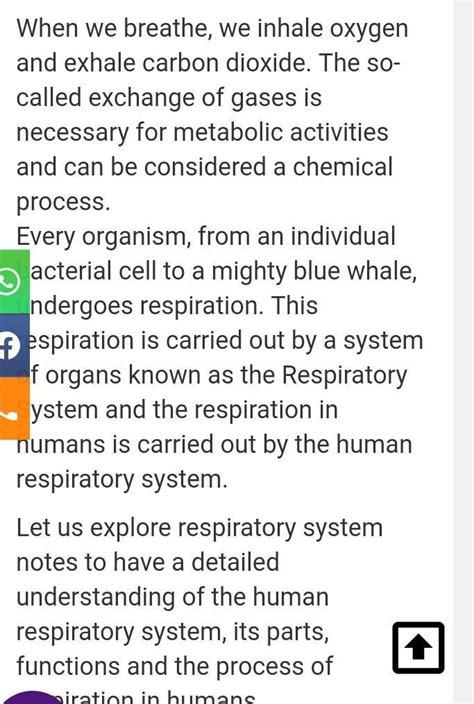 write down the sequence of oxygen flow with the help of a flow chart in ...