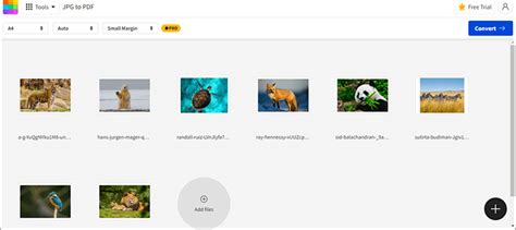 Image result for Convert Multiple Files From Jpg to PDF