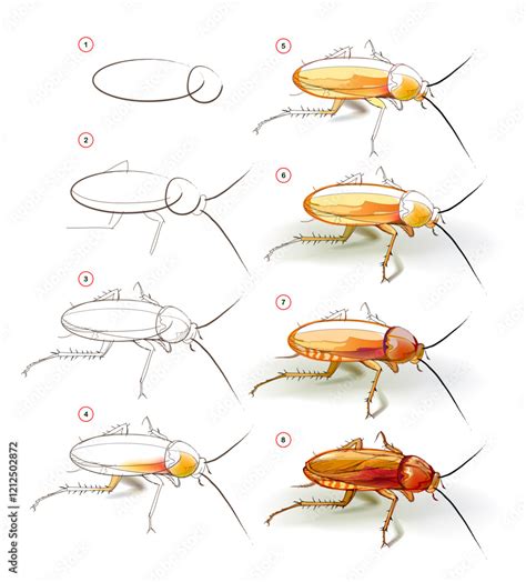 Image result for How to Draw a Cockroach Step by Step
