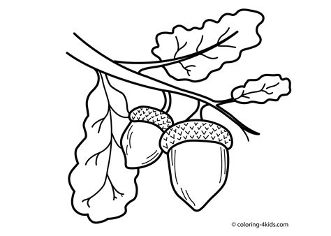 Acorn Coloring Pages