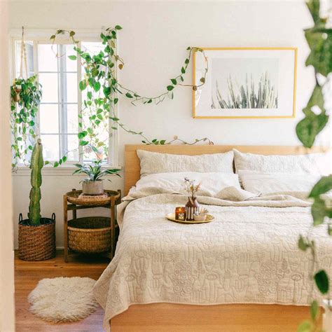 The 15 Best Plants for Bedrooms To Help You Sleep Better