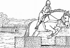 ausmalbilder pferde springreiten pferde ausmalbilder springen animal outline drawings ausmalbilder pferde springreiten pferde ausmalbilder springen animal outline drawings