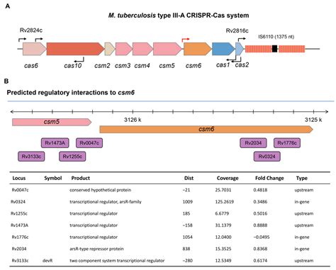 Regulation of CRISPR-Associated Genes by Rv1776c (CasR) in ...