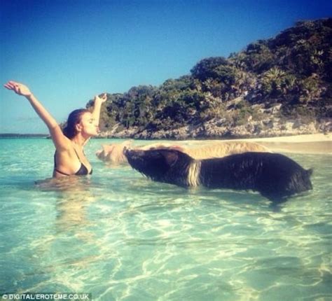 名模伊莉娜·莎伊克穿比基尼与三只猪游泳_娱乐_腾讯网