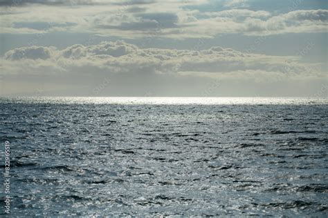 Sea Texture 的图像结果