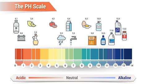 Ph Scale Examples – How To Measure Ph Levels – UIEB