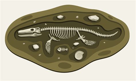 Mosasaurus Dinosaurs Archaeology Fossil Cartoon Discover in the Ground ...