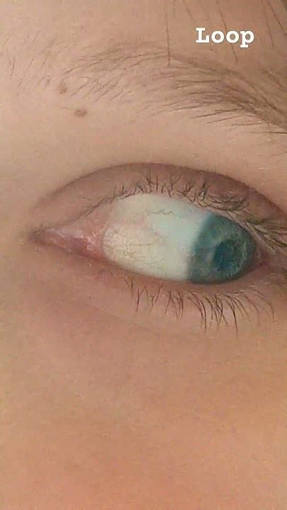 Image result for Houdini 18 Tutorials