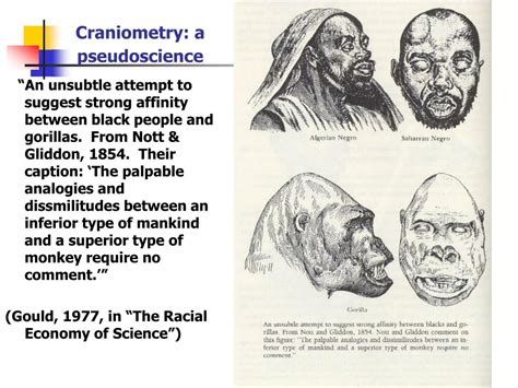 Race 的图像结果