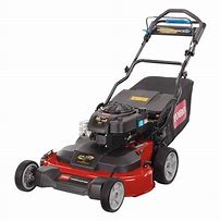 Image result for 30 Inch self Propelled Mower
