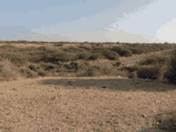 Gujarat Evening Wrap Former Jharkhand CM Shibu Soren passes away; One ...