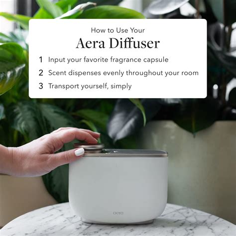 Buy Aera Lime Twist Home Fragrance Scent Refill - Notes of Frosty Lime ...
