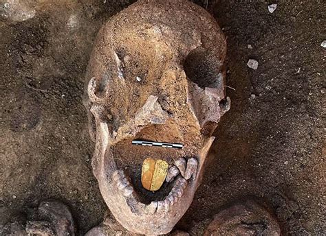 35 Facts About Ancient Egyptian Ibis Mummy - Facts.net