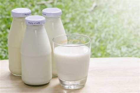 Milk Day e le fake news sul latte - Informacibo