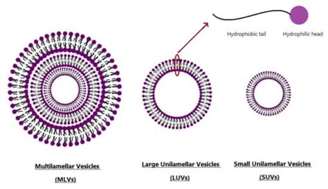 Niosomal Drug Delivery Systems for Ocular Disease—Recent Advances and ...
