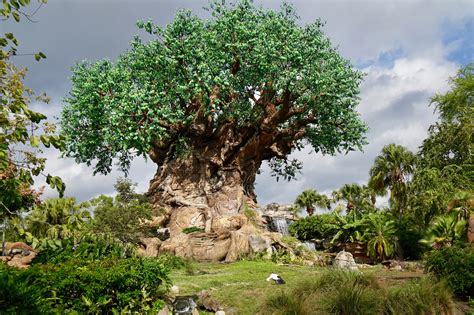 Best Animal Kingdom Rides [Ranked: Top 5 Attractions for 2021]