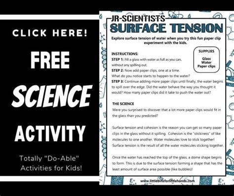 Image result for Paper Clip Experiment