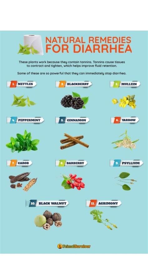 what herbal remedies for diarrhea