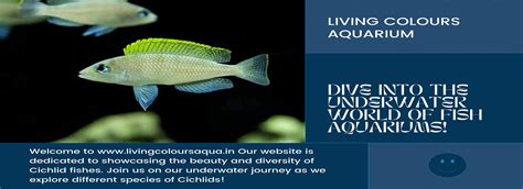 Living Colours Aqua