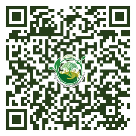 Alstonia scholaris, Ezhilamppala, Yekshippala,Pala, Devil tree ...