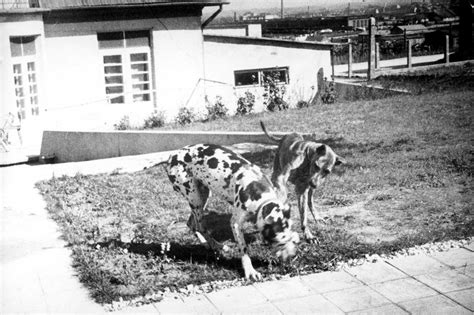 Camp Commandant Amon Goeth, infamous from the movie “Schindler’s List ...