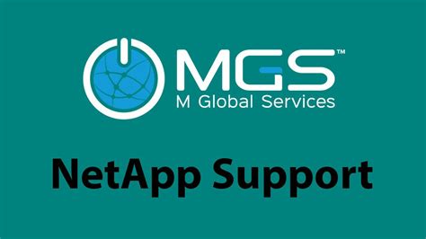 Image result for NetApp Support