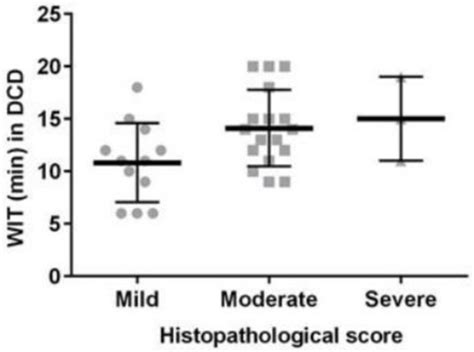 Comparative Analysis of Risk Factors in Declined Kidneys from Donation ...