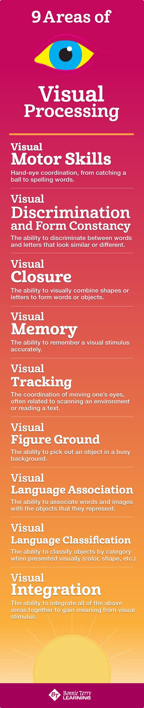 Visual Processing Examples 的图像结果