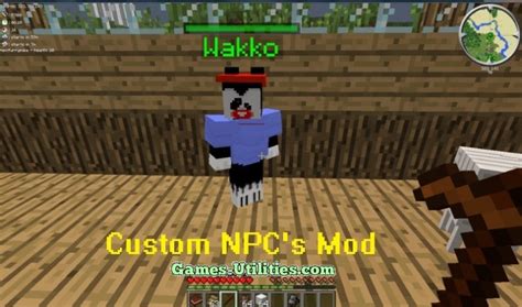 Image result for Minecraft Custom NPC Java