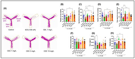 Chronic Administration of Calendula officinalis Ethanolic Extract ...