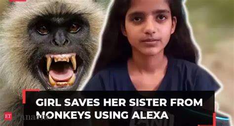UP girl narrates how she saved her sister and herself from monkeys by ...