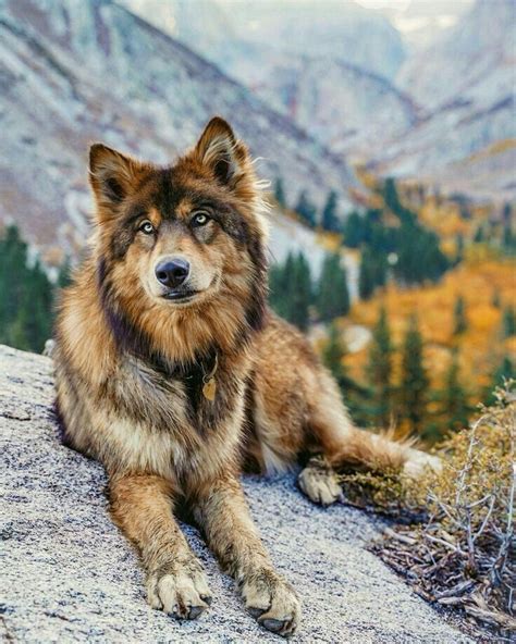 Thoughts on A Touch of Ruin (Persephone Saga, Book 2) by Scarlett St. Clair - Mae Polzine