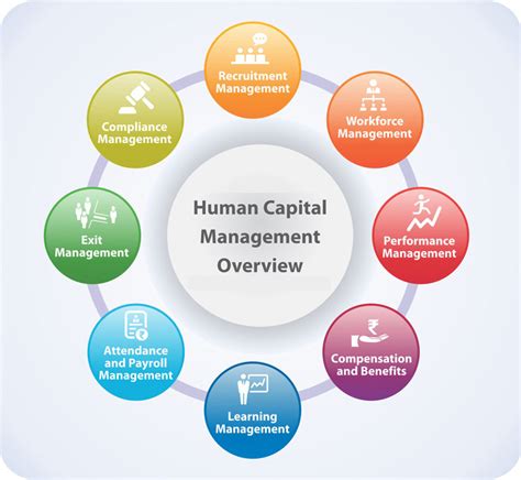 What is Human Capital Management? - India Dictionary