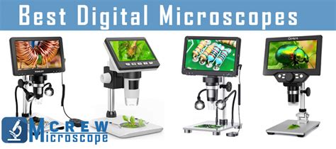Image result for Microscope Manual