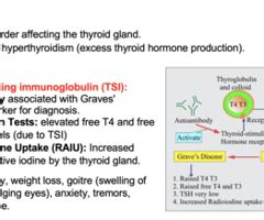 Image result for Thyroid Testing Algorithm