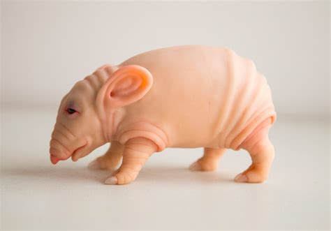 Image result for Alien Cocoon