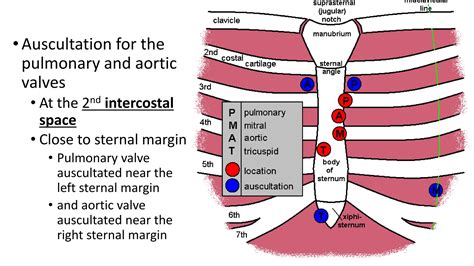 12_dEvents at Sternal Angle of Louis.pdf