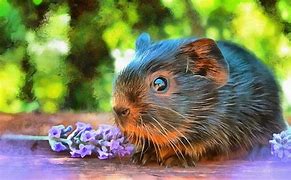 Image result for Cute Baby Animals Bunny