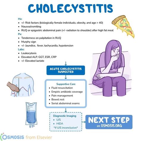 Gallbladder cholelithiasis vs cholecystitis vs cholangitis vs ...