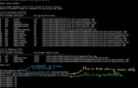 Oracle Database12g Instance Recovery 的图像结果