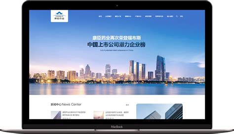 广州网站建设-康臣药业官网建设案例说明