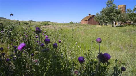 Schweiger Ranch Open Day - September 2023, 10822 S Havana St, Lone Tree ...