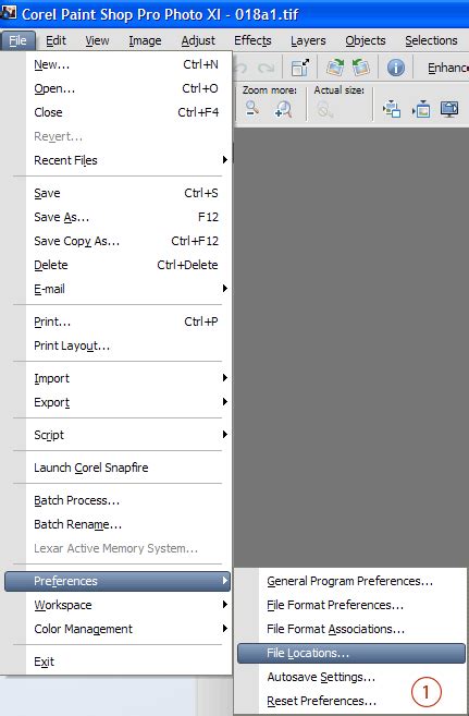 Image result for Corel Paint Tutorial Setin Up File Prefernces
