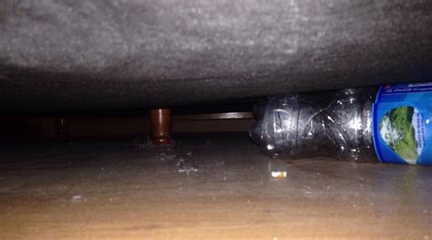 HOTEL SPLENDID (Buenos Aires) - Inn Reviews, Photos, Rate Comparison ...