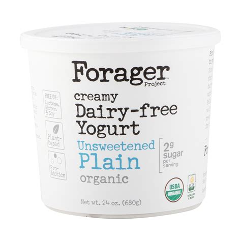 FORAGER PROJECT Organic Unsweetened Plain Dairy Free Yogurt (24 oz ...