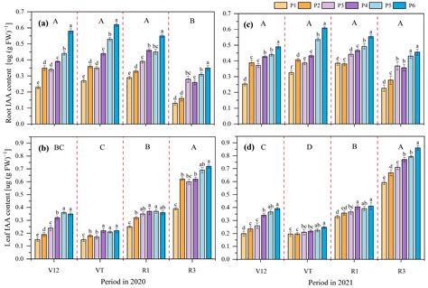 Content Patterns of Maize Endogenous Hormones and Grain Yield ...