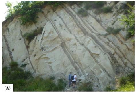 Distinguishing between Deep-Water Sediment Facies: Turbidites ...