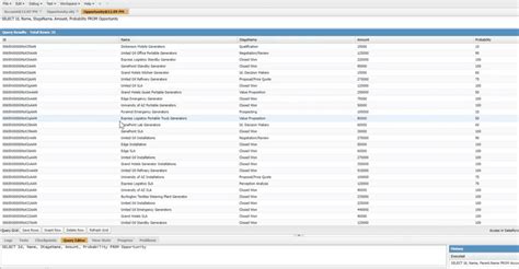Image result for SOQL Query Using Workbench