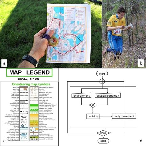 Image result for Orienteering Tutorial