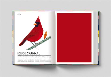 Image result for Colorama Albums